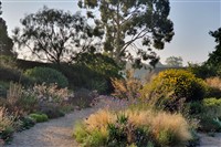 Image supplied by The Beth Chatto Gardens LTD