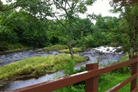 Springtime in Loch Lomond
