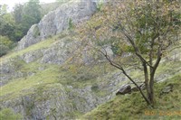 West Country Wonders 