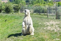 Yorkshire Singles Break